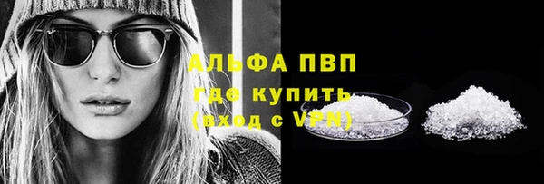 индика Баксан