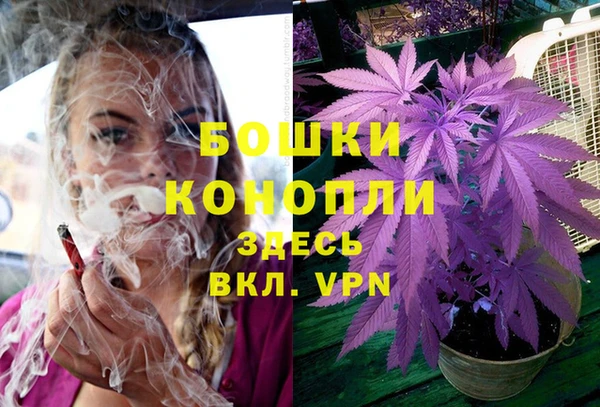 индика Баксан