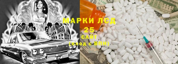 индика Баксан